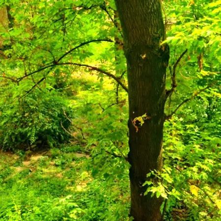 Bery Homes Hotel Budapesta